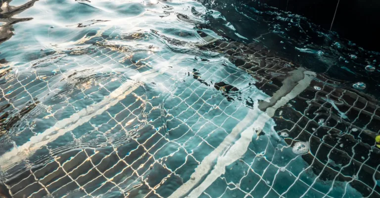 système automatique de remplissage de piscine pour un entretien facile et sans souci, garantissant un niveau d'eau optimal en permanence.