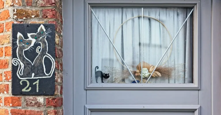 découvrez notre chatière pratique et sécurisée, idéale pour permettre à votre chat de sortir et rentrer facilement tout en gardant votre maison protégée.