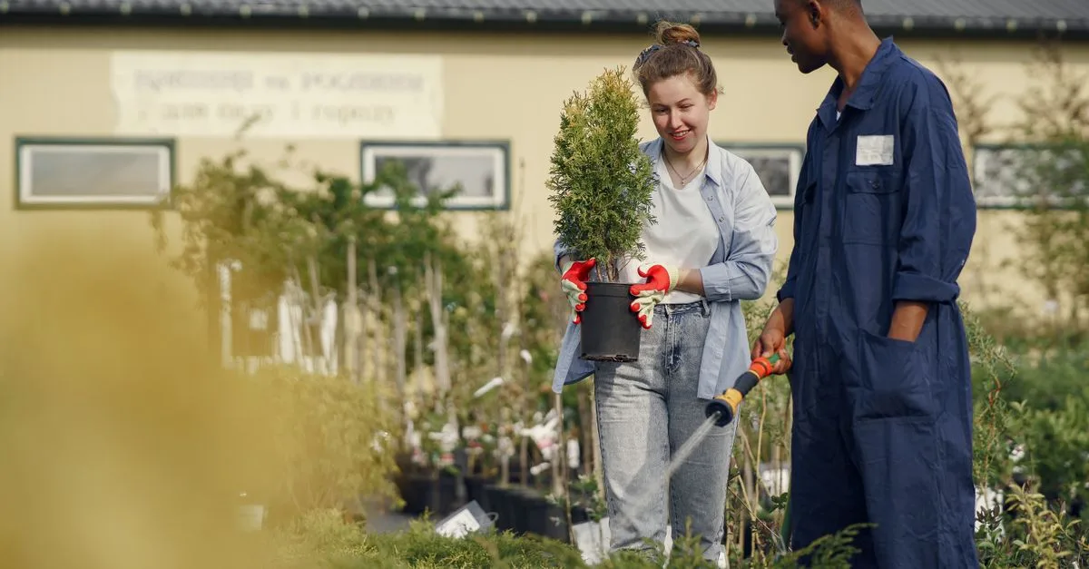 découvrez notre sélection de produits de jardinage pour embellir et entretenir votre espace extérieur avec facilité et efficacité.