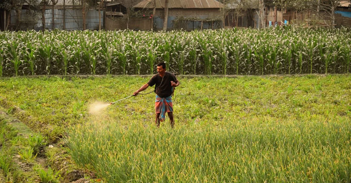 découvrez tout sur les herbicides : leur utilisation, leurs types, et comment protéger vos cultures efficacement contre les mauvaises herbes.