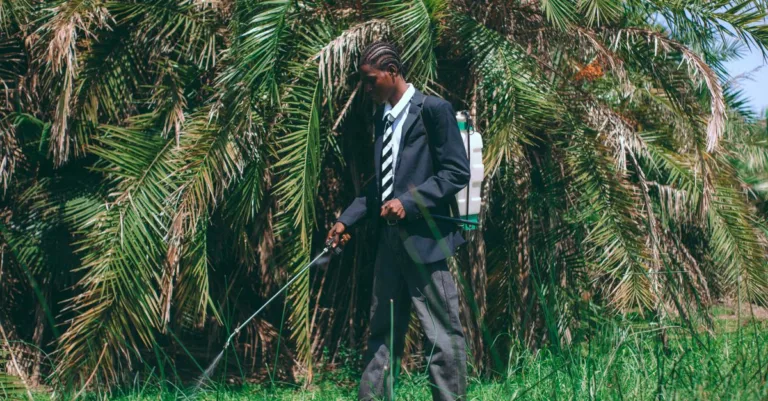 découvrez nos herbicides efficaces pour éliminer les mauvaises herbes et protéger vos cultures. solutions adaptées à tous types de terrains et respectueuses de l'environnement.