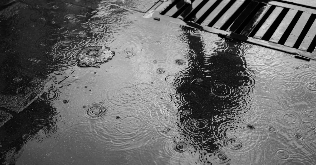 découvrez tout sur le système de drain principal : fonctionnement, installation et entretien pour assurer un bon écoulement des eaux usées dans votre habitat.