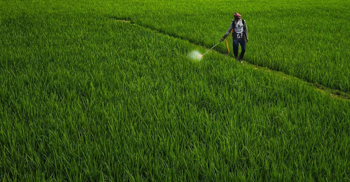 découvrez notre herbicide naturel efficace, respectueux de l'environnement, pour éliminer les mauvaises herbes sans produits chimiques.