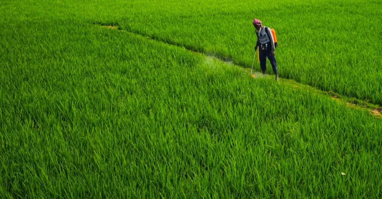 découvrez notre herbicide naturel efficace et écologique pour éliminer les mauvaises herbes sans produits chimiques nocifs, respectueux de votre jardin et de l'environnement.