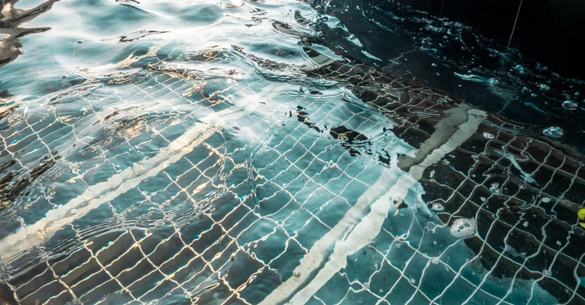 découvrez nos conseils et solutions pour une eau de piscine claire, propre et invitante toute l'année.