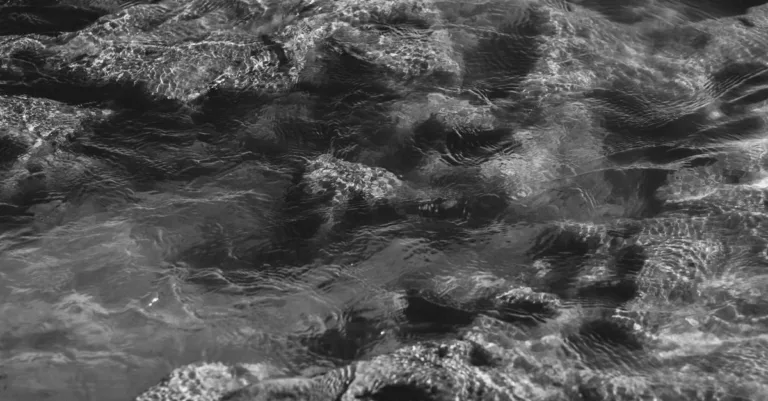 découvrez nos conseils pour maintenir une eau de piscine claire et limpide toute l'année, grâce à un entretien efficace et des traitements adaptés.