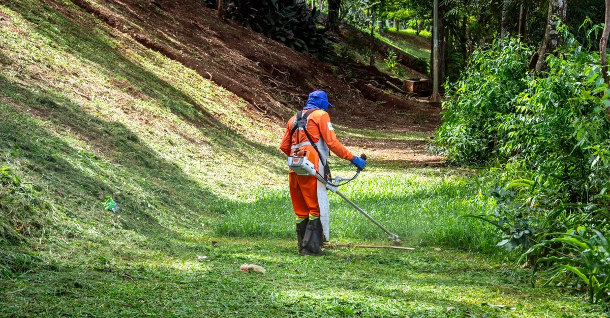 découvrez le débroussailleur stihl fs 55, un outil puissant et léger idéal pour entretenir vos espaces verts avec précision et efficacité.