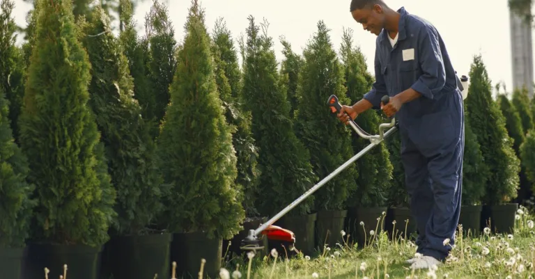 découvrez le débroussailleur stihl fs 55 : léger, puissant et facile à utiliser pour entretenir vos espaces verts avec efficacité.
