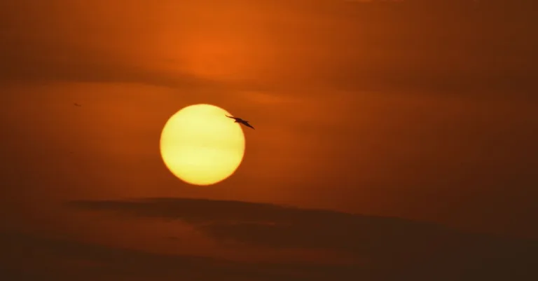 découvrez l'heure exacte du coucher du soleil pour planifier vos activités et profiter des plus beaux paysages au crépuscule.